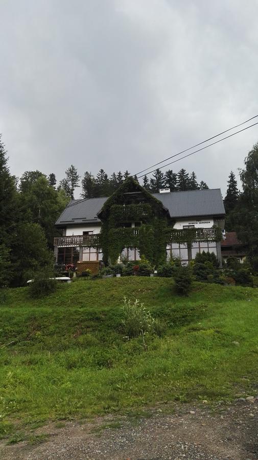 Willa Pod Dobrym Humorem Miedzygorze Luaran gambar